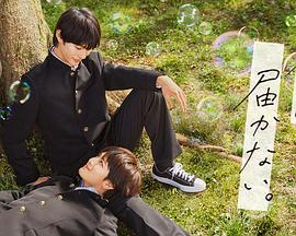 情劫1993在线观看