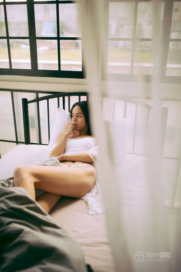 导演的摄影课HL